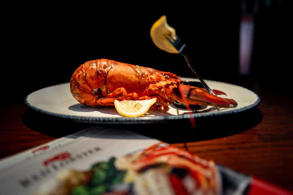 OOPS! Rare Lobster Accidentally Sent To a RED LOBSTER Restaurant