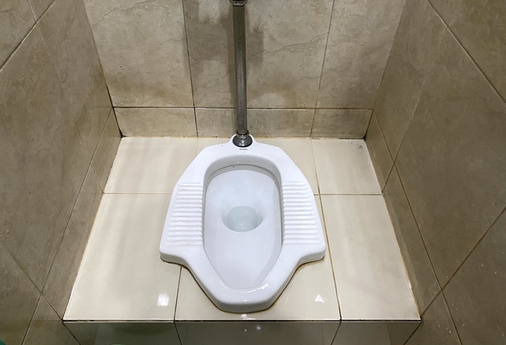 World Toilet Day: How A Squat Toilet Benefits Your Health?