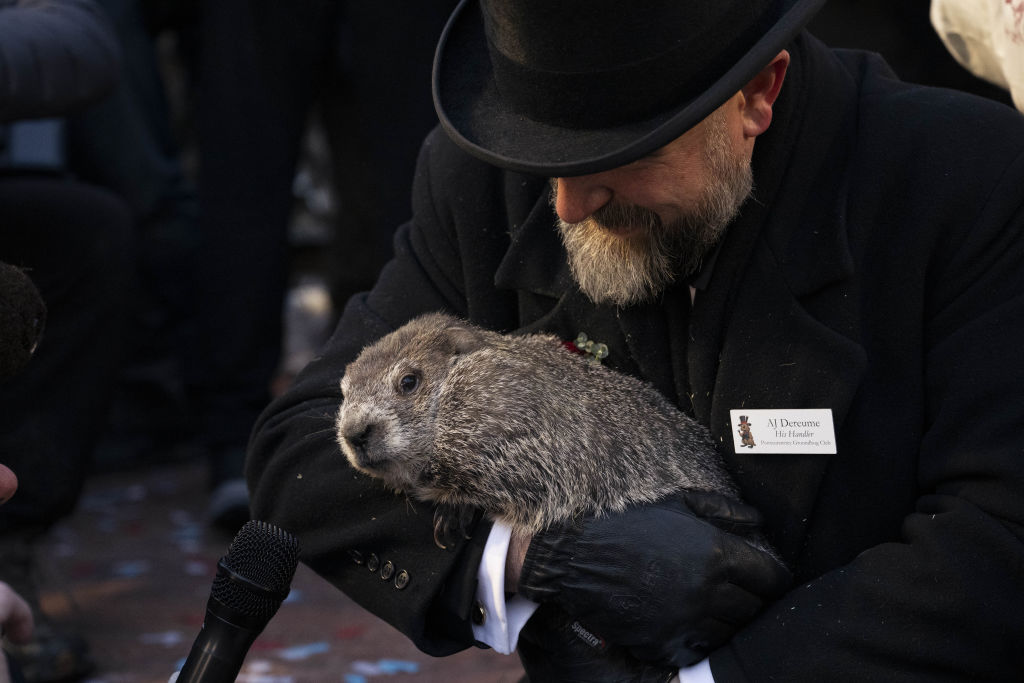 Groundhog Day 2025: Six More Weeks of Winter!