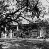 We Hear You, Ancestors: Fire Decimates Nottoway Plantation In Louisiana