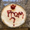 California Teen Spurs Outrage With Racist Promposal